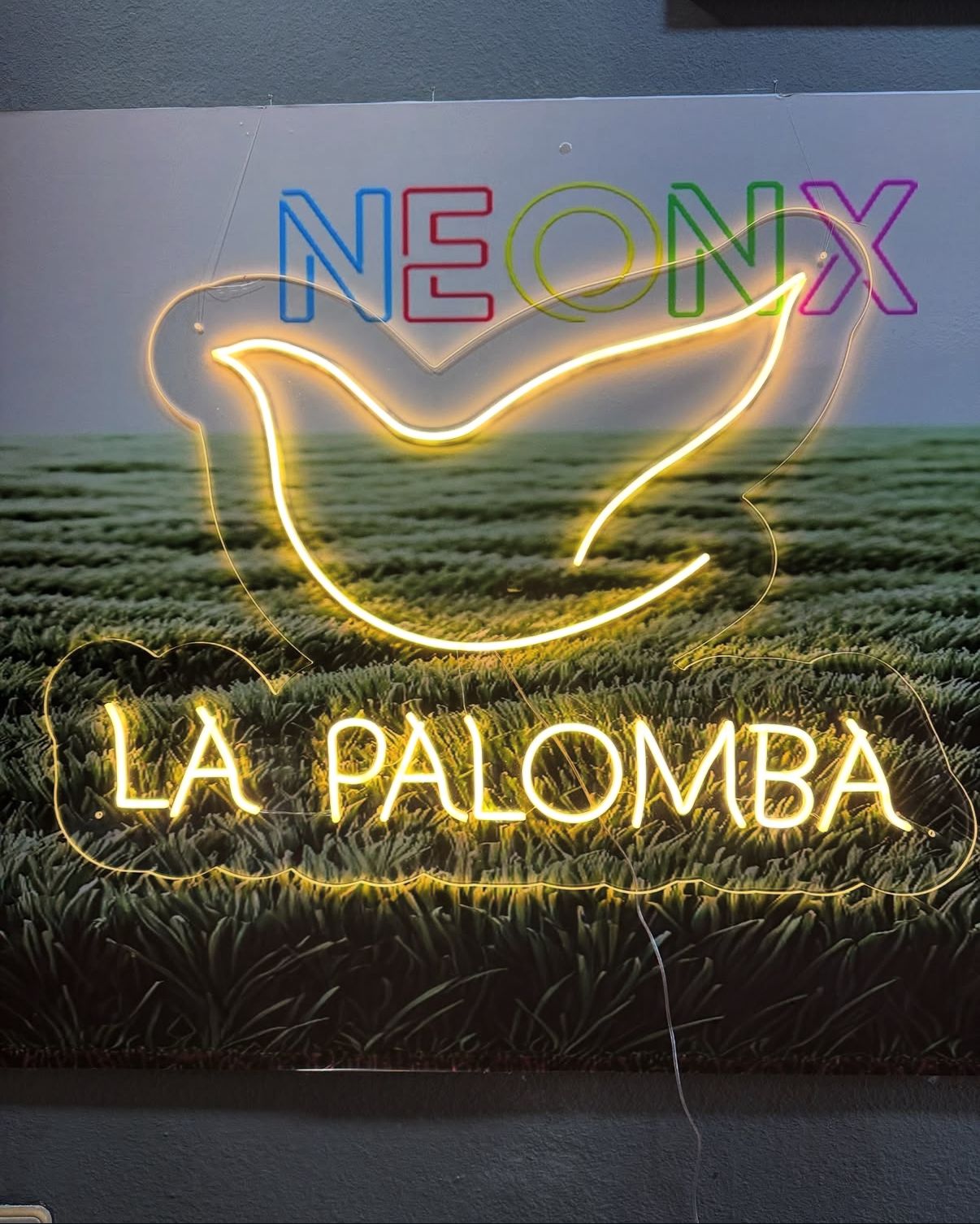 Rótulo LED comercial restaurante El Tio Rigar - Oviedo